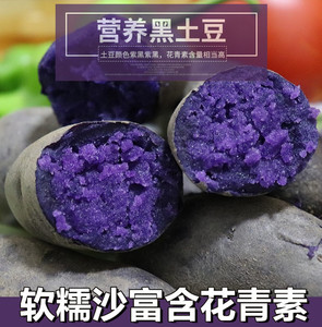 黑土豆5斤新鲜农家小土豆富含花青素黑美人马铃薯紫皮土豆乌洋芋