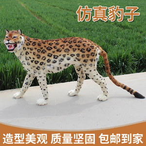 豹子模型仿真动物摆件展览教学道具橱窗展示品金钱豹皮毛工艺品
