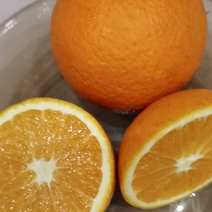 四川自贡血橙脐橙，无公害水果，自然成熟，不打农药