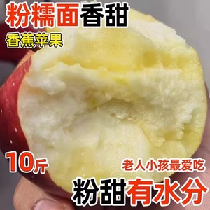 陕西秦冠粉面沙甜苹果10斤新鲜当季水果孕妇老人婴儿辅食刮果泥吃