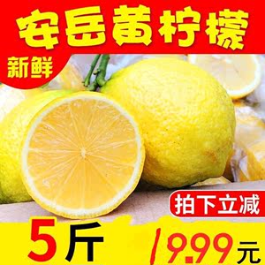 四川安岳柠檬新鲜5斤一二三级水果皮薄酸爽多汁包邮非香水青柠檬
