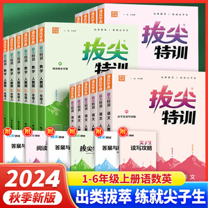 2024新拔尖特训一年级二年级三四五六年级下册语文数学英语人教版北师大苏教版小学教材同步训练试卷课时优化作业一课一练通城学典