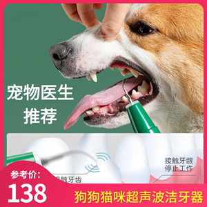 狗狗猫咪洁牙器宠物除牙结石超声波洗牙器清洁牙齿污垢除口臭仪器