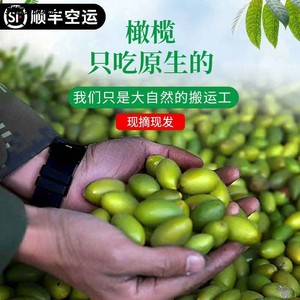 福州闽清特产檀香青橄榄无渣甜种新鲜现摘500g煲汤休闲零食脆果