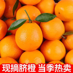 橙子脐橙10斤水果新鲜包邮当季高山手剥橙果冻橙冰糖柑橘整箱甜橙