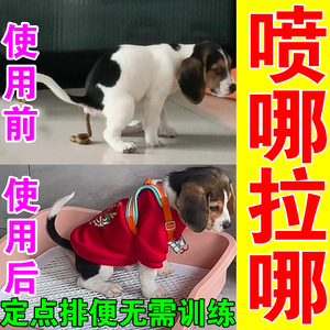 【当晚学会】狗狗定点排便神器猫狗通用上厕所诱导剂防止乱拉屎