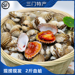 三门小海鲜 新鲜贝类 水产海鲜生鲜礼盒毛蛤蚶蛤蜊 血蚶血蛤2斤装
