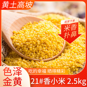 陕北黄小米2.5kg五谷杂粮小黄米粮食2024新米粘小米粥粗粮杂粮