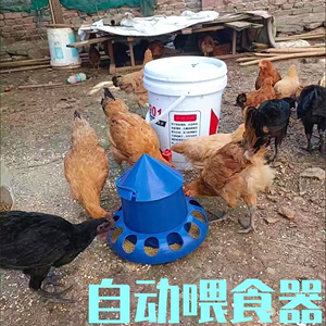 鸡食槽自动下料器土鸡喂食器小鸡小鸭育雏料桶鹌鹑自动喂食器下料
