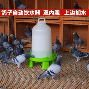 鸽子饮水器水壶鸽子用品用具信鸽水槽草窝站架鸽具食槽鸟用喝水壶