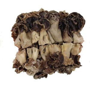 新货巴楚菇50g-100g 新疆巴楚野生蘑菇干蘑菇胡杨林皱柄羊肚菌