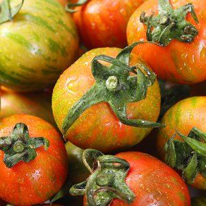 东北皮球柿子新鲜水果虎铁皮番茄圣女果花皮小迷彩草莓西红柿4斤