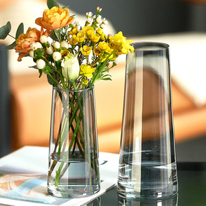 北欧创意玻璃花瓶客厅插花水养小摆件办公室桌面装饰品家居小花瓶