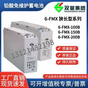 双登6-FMX-100B狭长型蓄电池12v150AH/12V200安时铅酸狭长电瓶