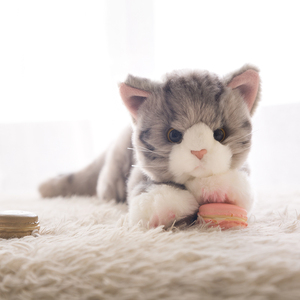 日本可爱仿真小橘猫咪毛绒玩具偶公仔英短蓝白猫安抚宝宝生日礼物