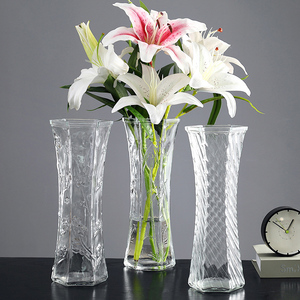轻奢北欧大号水培玻璃花瓶高透明水养富贵竹百合干花插花摆件客厅