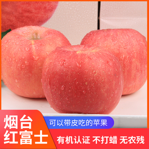 山东沣林园有机红富士苹果小果10个约4.2斤无农药不打蜡果皮可吃