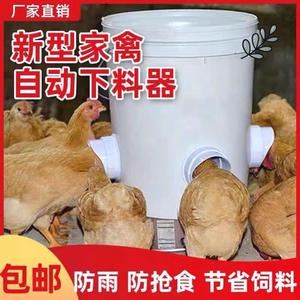 鸡鸭鹅全自动喂食器喂料桶鸡自动下料器家禽用料槽食槽重力喂食器