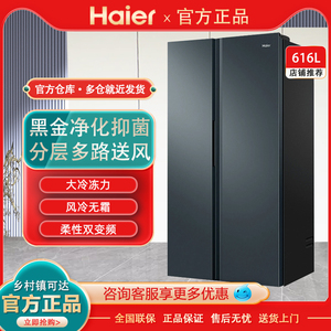 Haier/海尔 BCD-616WGHSSEDC9一级变频风冷无霜家用对开双门冰箱