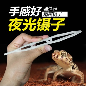 诺摩NOMO夜光镊子18cm直的喂食工具爬宠宠物爬虫陆龟蜥蜴青蛙蜘蛛