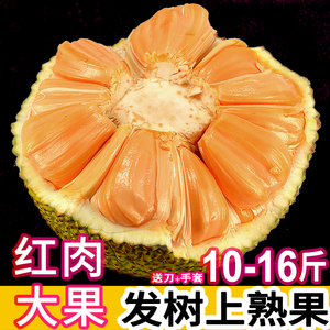 红肉菠萝蜜红心大果一整个新鲜水果木菠萝熟果12-20斤包邮