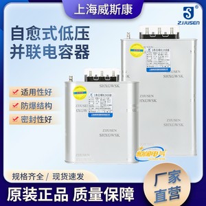 上海威斯康BSMJ0.45-30 15 20 25-3三相自愈式补偿并联电力电容器