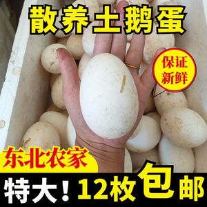 东北特大土鹅蛋农家散养新鲜孕妇12枚均重120克娥蛋精品杂粮食用
