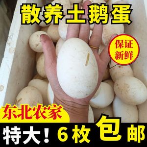 东北特大土鹅蛋农家散养新鲜孕妇6枚均重115克娥蛋精品杂粮食用