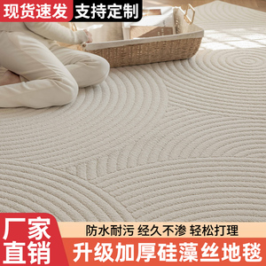 地毯客厅轻奢简约高级感2024新款网红沙发卧室加厚防水硅藻丝地垫