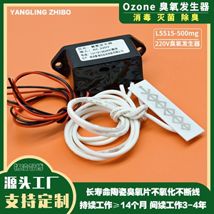 220V500mg臭氧发生器医用级家用空气净化消毒除甲醛臭氧陶瓷片