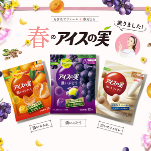 日本进口固力果格力高橙子葡萄冰球冰淇淋6袋 水果咖啡冰激凌雪糕