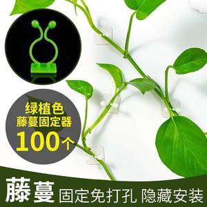 绿萝爬藤杆爬墙挂钩墙上固定器植物扣墙壁绿植支架扣环夹神器室内