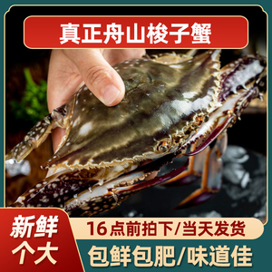 舟山梭子蟹鲜活冷冻超大新鲜水产海螃蟹鲜活海蟹白蟹飞蟹
