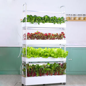 智能水培种植机无土栽培蔬菜草莓种植箱多层家庭阳台亚马逊园艺