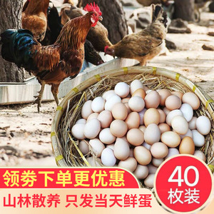 正宗土鸡蛋农家散养新鲜纯农村自养天然草鸡蛋柴鸡蛋笨鸡蛋40枚