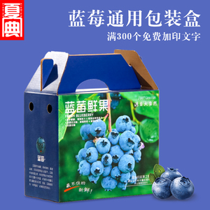 蓝莓包装盒高档手提1斤2蓝莓礼盒空盒带内盒125g水果纸盒加印