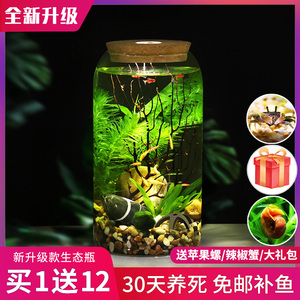 小型雨林生态瓶微型微观生态造景科学材料水草小鱼缸微景观造景