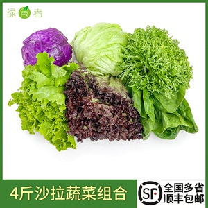 沙拉蔬菜组合4斤 新鲜混合蔬果生菜色拉健身轻食套餐西餐沙拉食材