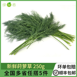 新鲜莳萝草250g 食用泰国香料菜刁草土茴香酒店摆盘西餐调料蔬菜