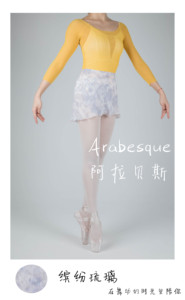 阿拉贝斯芭蕾舞练功裙成人女半身一片裙花色雪纺渲染舞蹈短纱裙