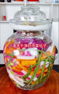 做酸菜的坛子四川家用大口玻璃腌制泡菜罐子密封罐创意菠萝缸大号