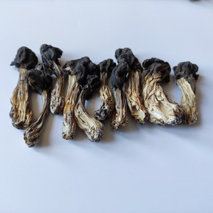 包邮2020年新货阿尔山食用野生木耳蘑菇250g东北特产
