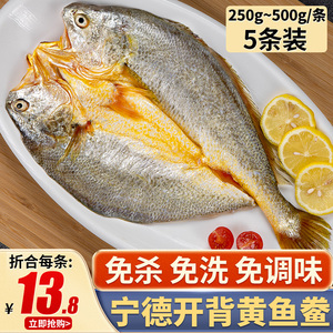 宁德黄鱼鲞5条黄花鱼新鲜冷冻小黄鱼海鲜生鲜大黄鱼免杀免洗商用