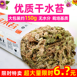 干水苔 干水苔品牌 价格 阿里巴巴