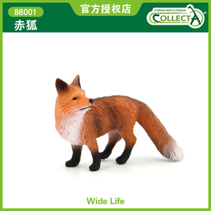 英国CollectA我你他仿真野生动物模型玩具儿童认知88001赤狐狐狸