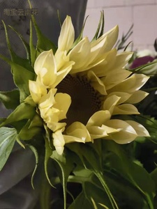 向日葵鲜花泰迪奶油太阳花束水养装饰田园风插花客厅拍摄道具摆件