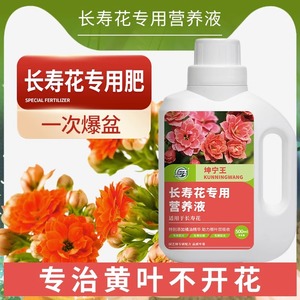 坤宁王长寿花肥料营养液专用盆栽花肥家用植物花卉养花促花通用型