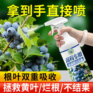 蓝莓专用营养液蓝莓肥料专用肥免稀释营养液家用盆栽有机液体肥料