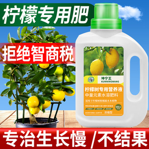 香水柠檬树肥料专用肥营养液青柠檬树盆栽植物果树树苗养花复合肥