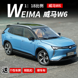 原厂威马W6 新能源电动汽车1:18合金仿真汽车模型送充电桩
